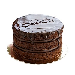 Torta nuda sacher al cioccolato