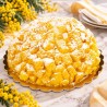 Torta Mimosa